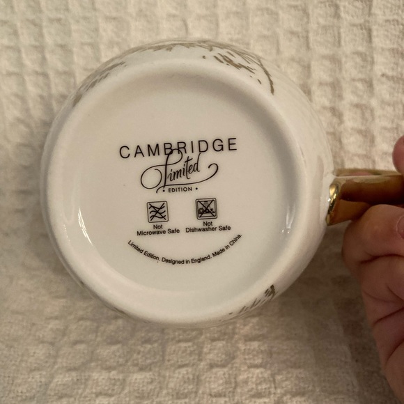 Cambridge Limited Edition Cat Mug Made In England - Picture 7 of 7